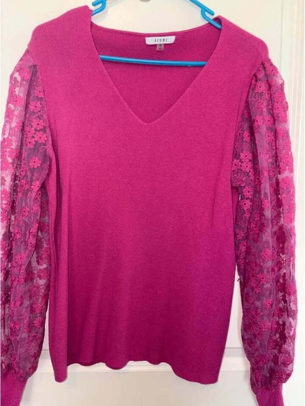 Sioni V-Neck Sweater with Floral Lace Sleeves